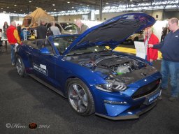 Vienna Drive 15.01.2026